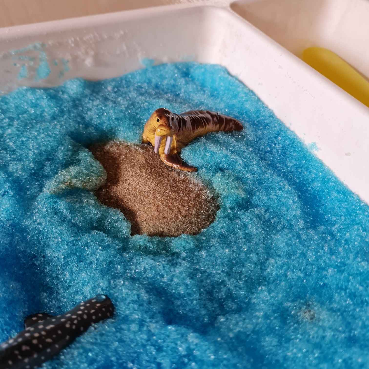 Zajęcia ekologiczne